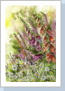Wiesenblumen mit Fingerhut24x30cm