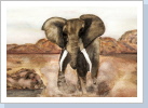 Elefant in der Wüste DinA4
