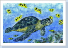 Meeresschildkröte DinA3  in Ausstellung in Rotenburg/Wümme siehe Quellennachweis