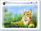 Katze im Gras 3 Airbrush auf Yupo Synthetik 30x40cm